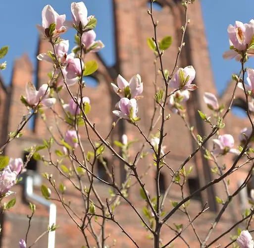 Five Point Hostel&apartments Hostel