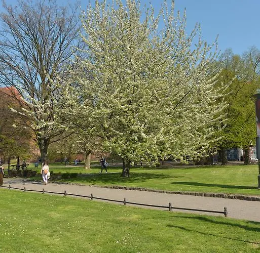 Five Point Hostel & Apartments *