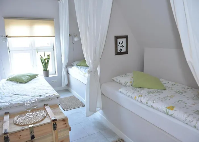 Five Point & גדנסק